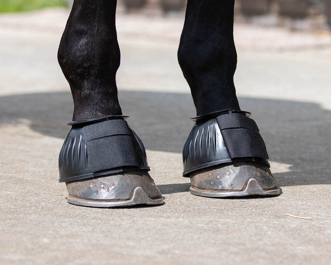 Campanas QHP Bell Boots para equitación - vista 16