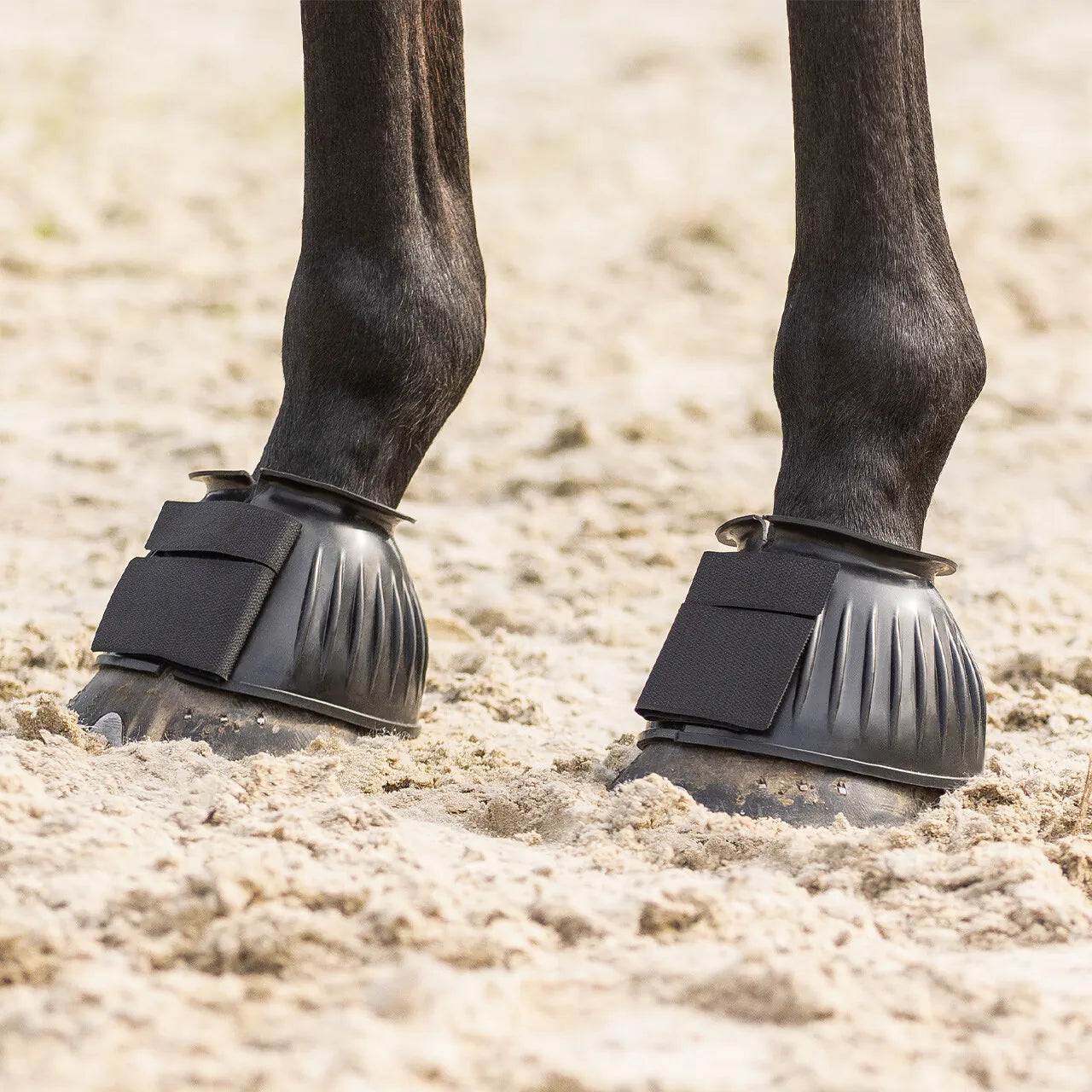 Campanas QHP Bell Boots para equitación - vista 4