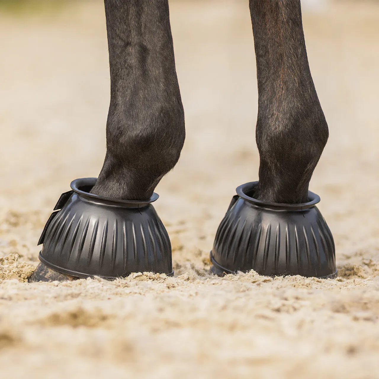 Campanas QHP Bell Boots para equitación - vista 6