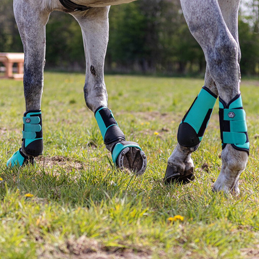 Protectores de completo QHP Eventing boots hind leg technical para equitación - vista 3
