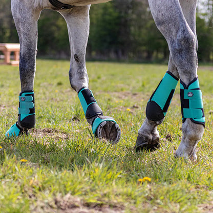 Protectores de completo QHP Eventing boots hind leg technical para equitación - vista 4