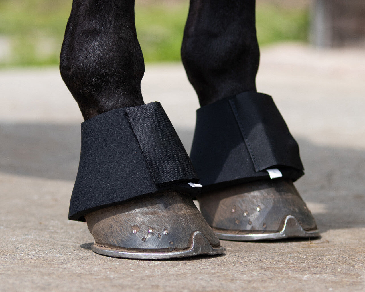 Campanas QHP Bell boots neoprene para equitación - vista 18