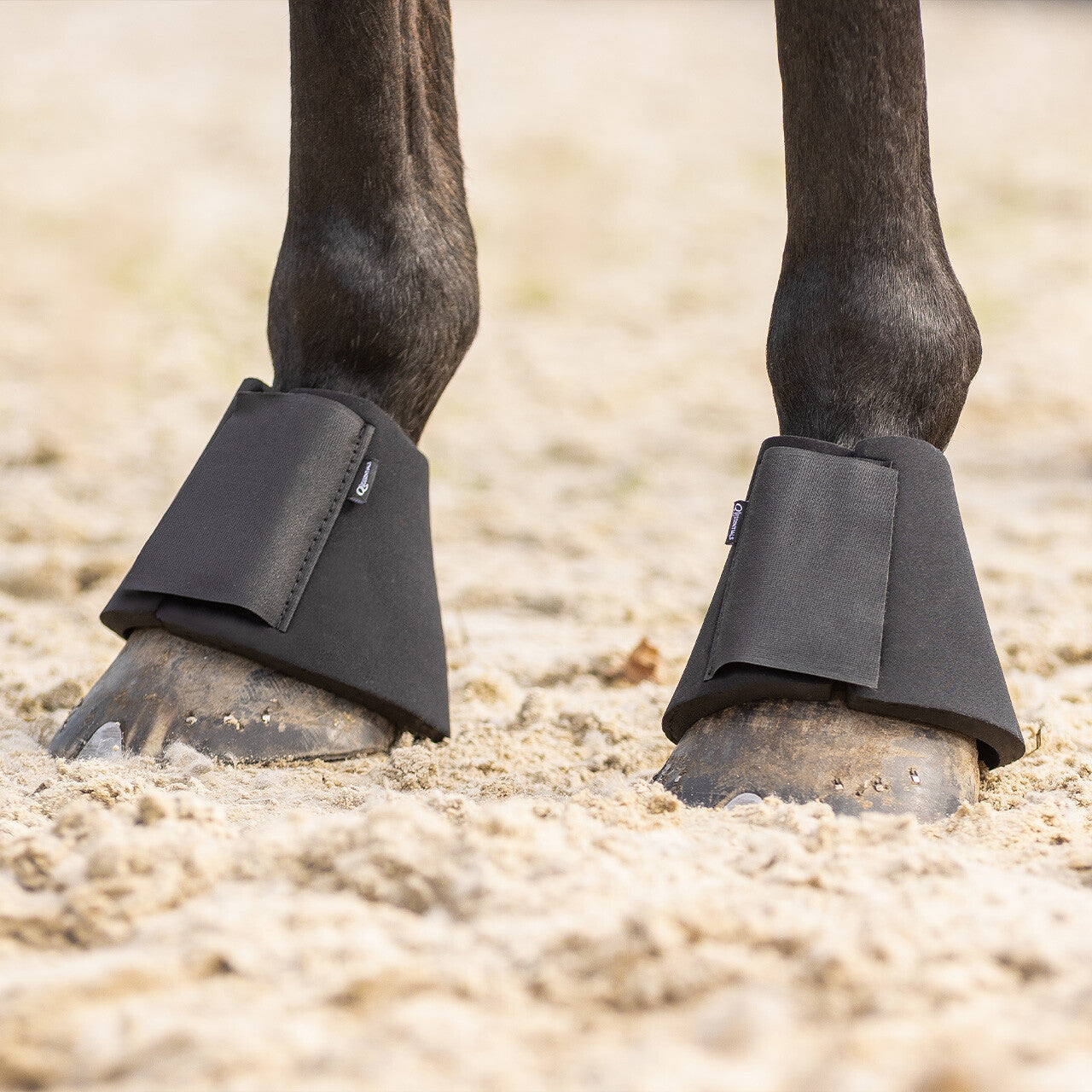 Campanas QHP Bell boots neoprene para equitación - vista 3