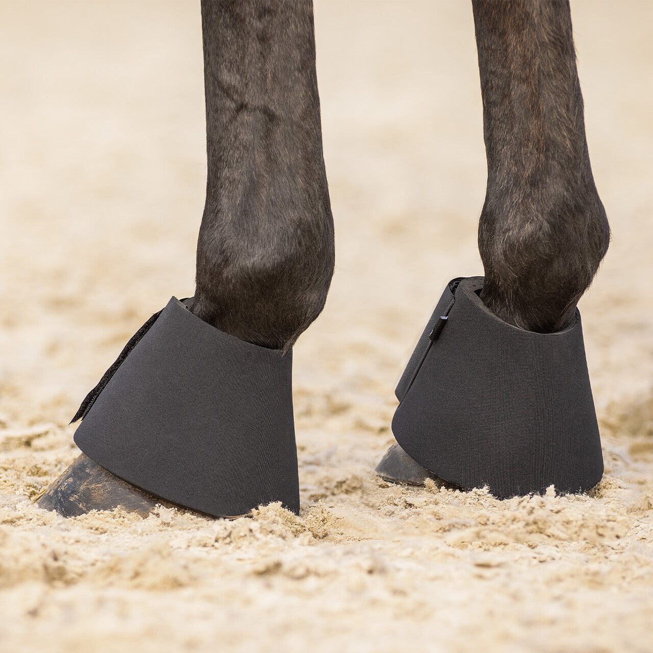 Campanas QHP Bell boots neoprene para equitación - vista 5