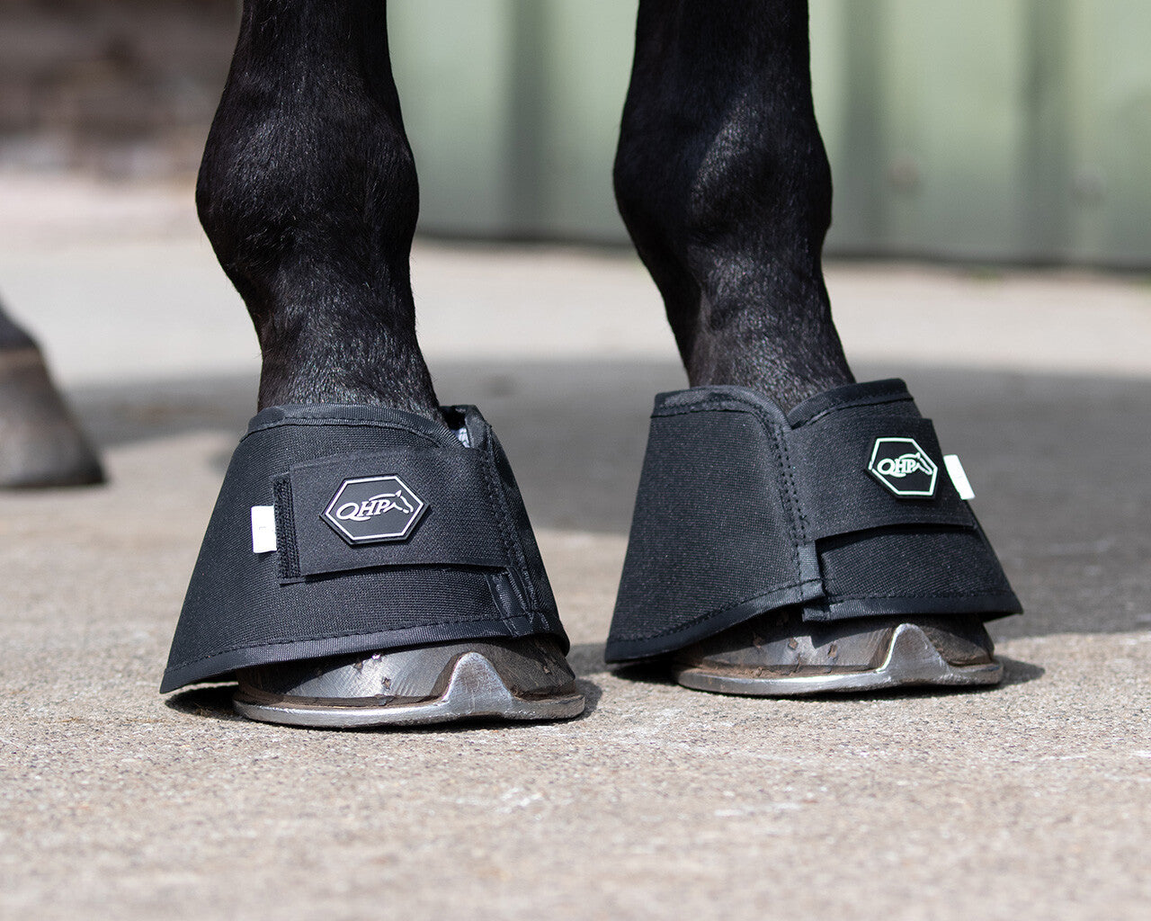 Aqua boots QHP para hidratación de cascos para equitación - vista 41