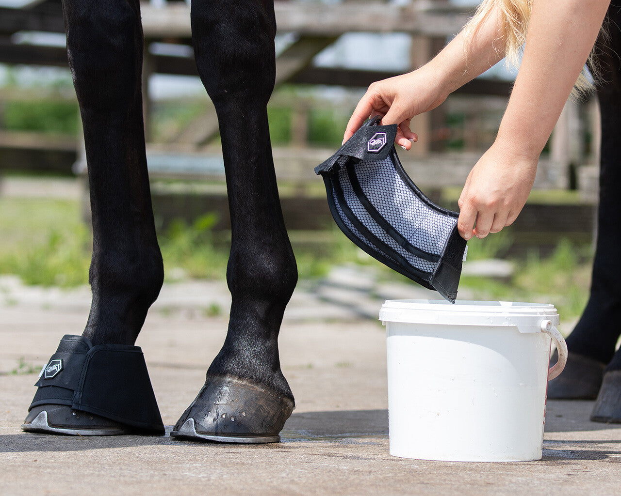 Aqua boots QHP para hidratación de cascos para equitación - vista 5