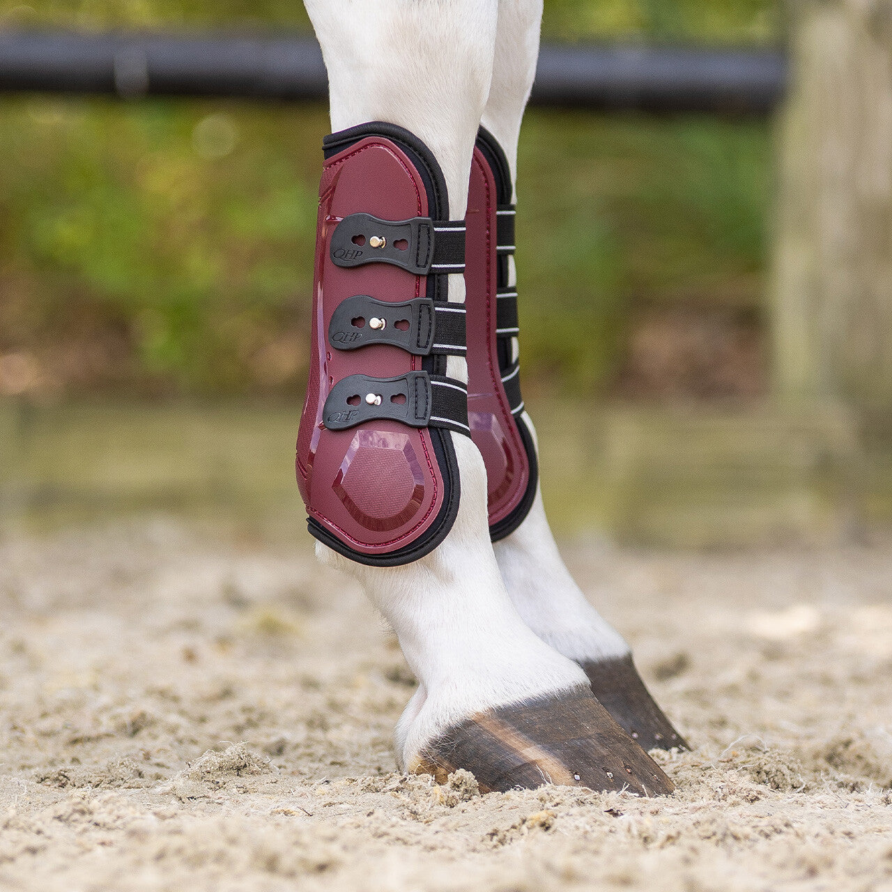 Protectores de tendón QHP Tendon boots Champion para equitación - vista 11