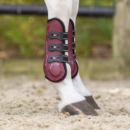 Protectores de tendón QHP Tendon boots Champion para equitación - vista 12