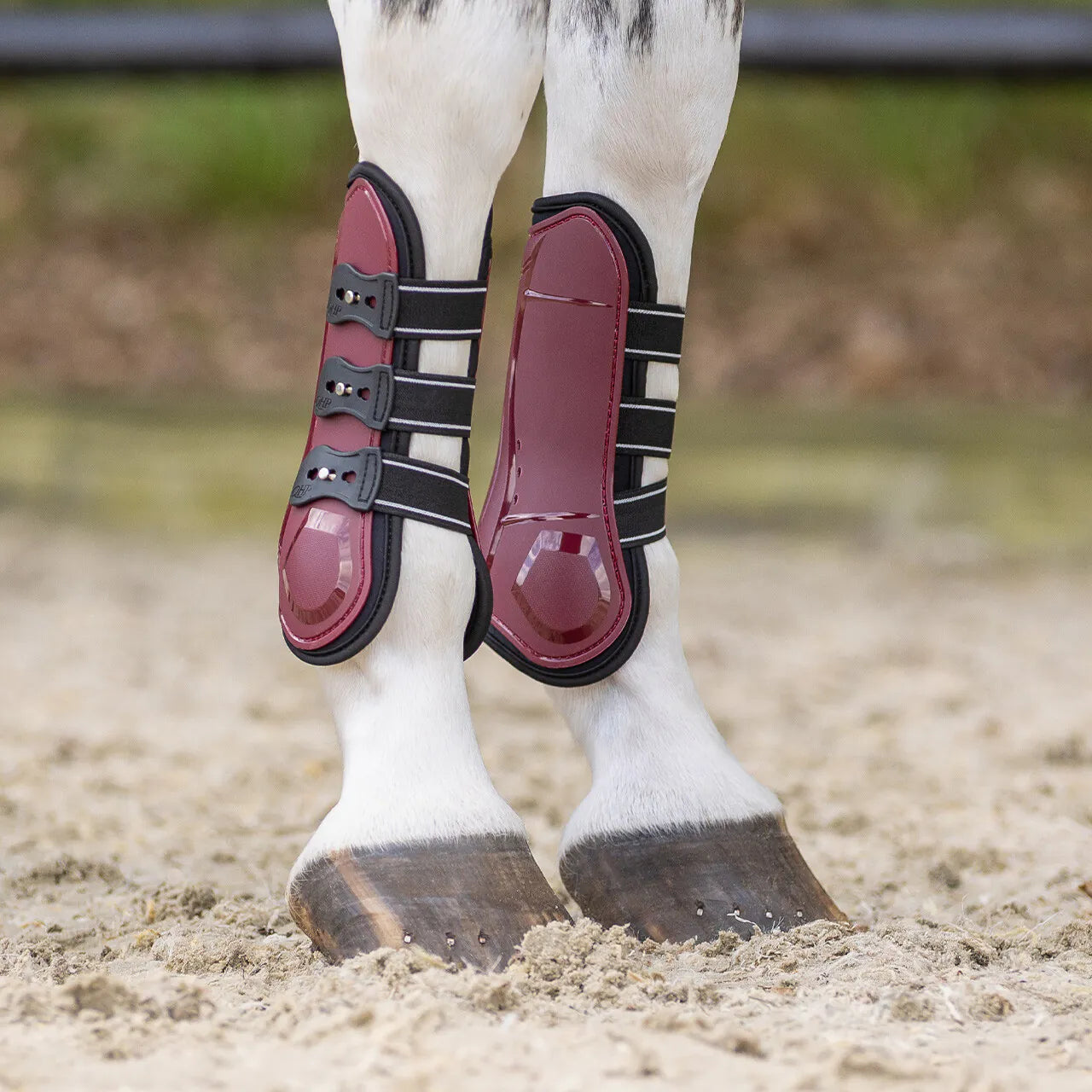 Protectores de tendón QHP Tendon boots Champion para equitación - vista 14