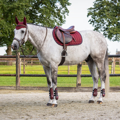 Protectores de tendón QHP Tendon boots Champion para equitación - vista 17