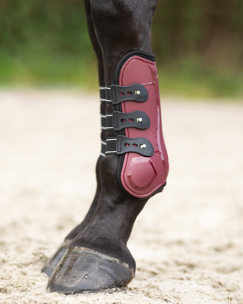 Protectores de tendón QHP Tendon boots Champion para equitación - vista 19