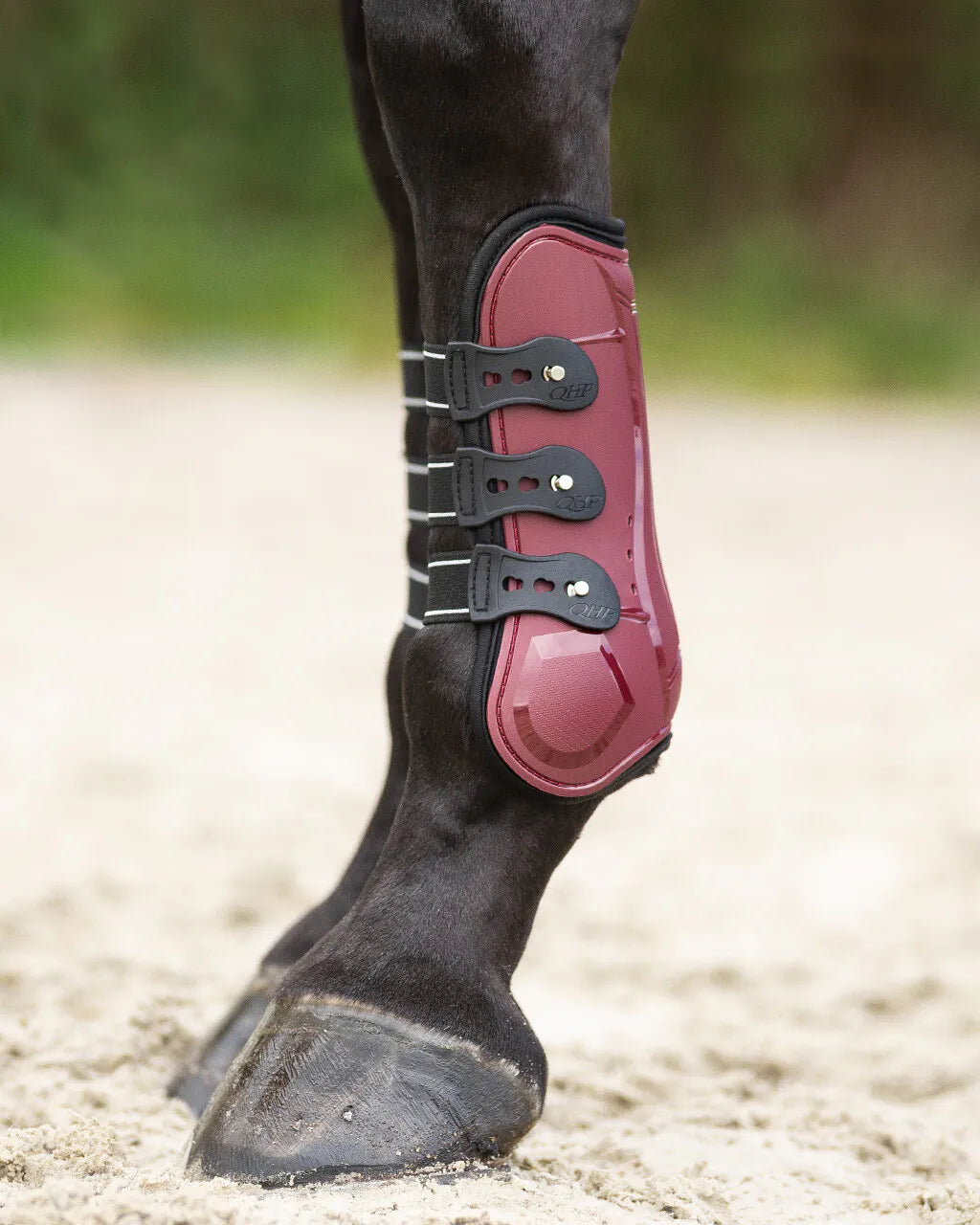Protectores de tendón QHP Tendon boots Champion para equitación - vista 20