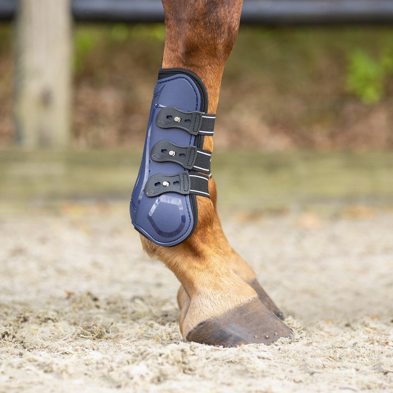 Protectores de tendón QHP Tendon boots Champion para equitación - vista 39