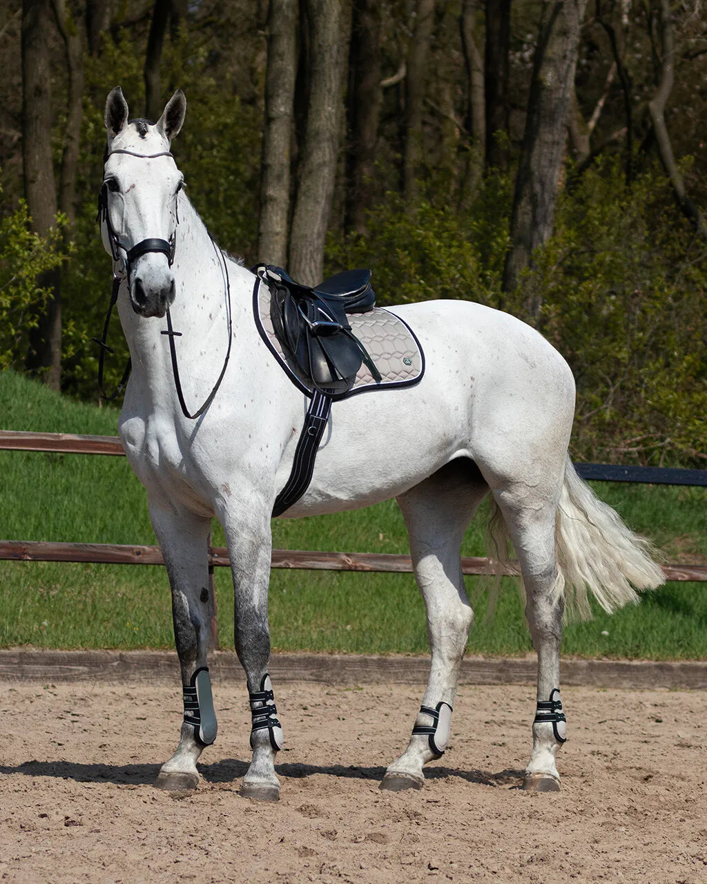 Protectores de menudillo QHP Fetlock boots Champion para equitación - vista 6