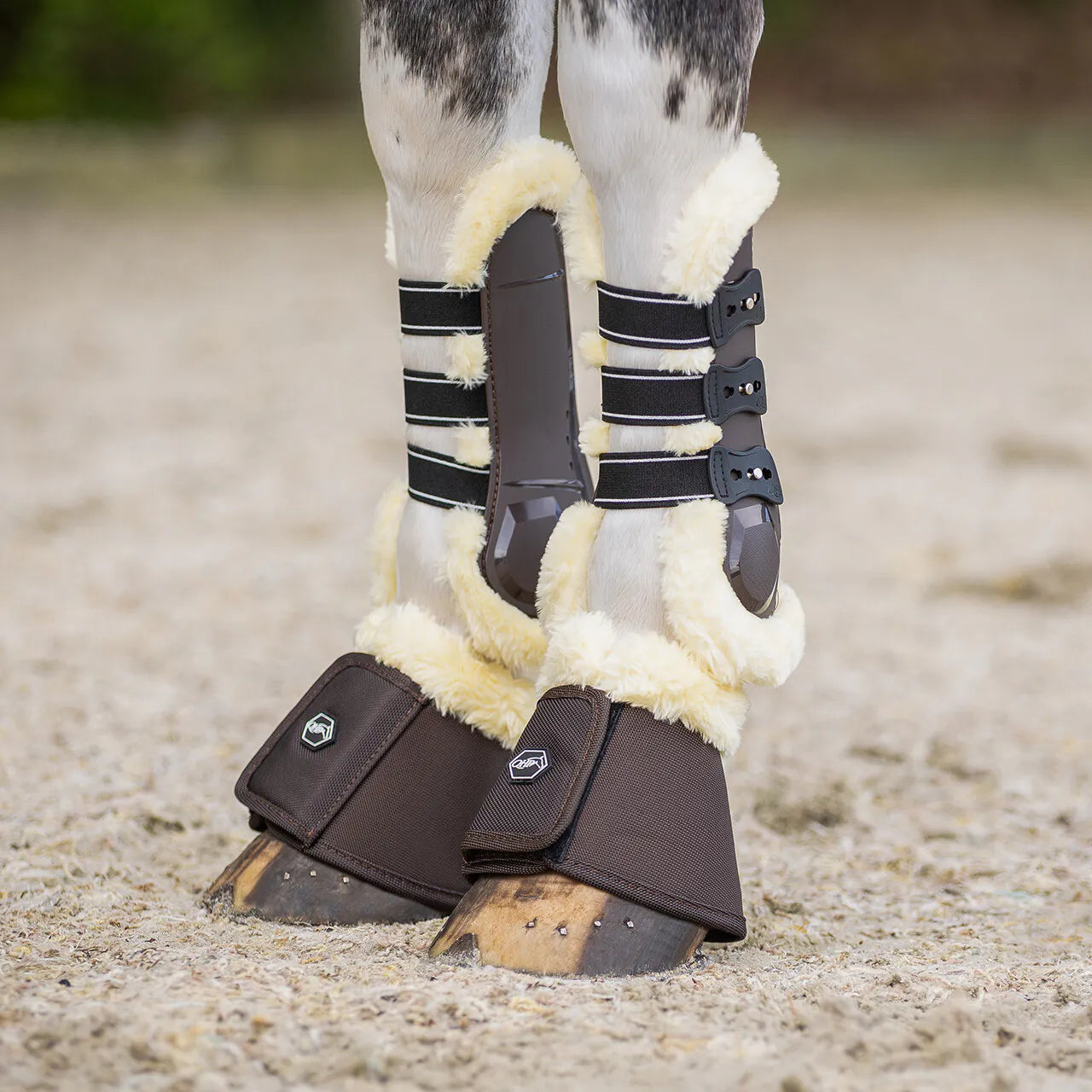 Protectores de tendón QHP Tendon boots Ontario para equitación - vista 4