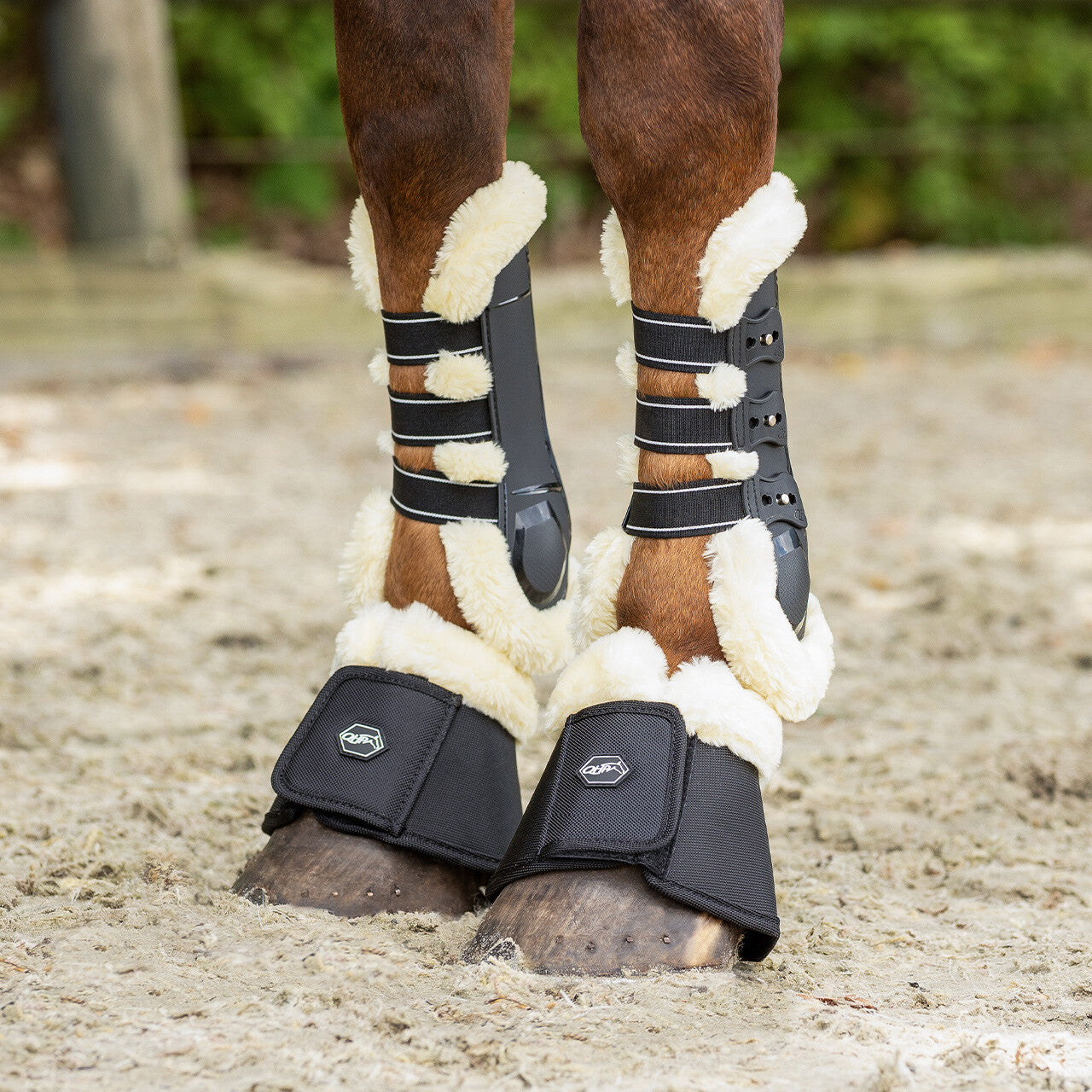 Protectores de tendón QHP Tendon boots Ontario para equitación - vista 40