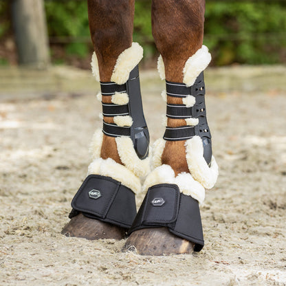 Protectores de tendón QHP Tendon boots Ontario para equitación - vista 40