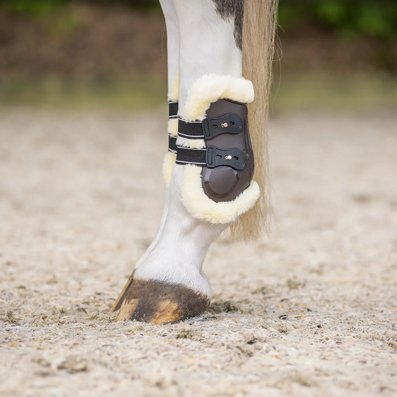 Protectores de menudillo QHP Fetlock boots Ontario para equitación - vista 2