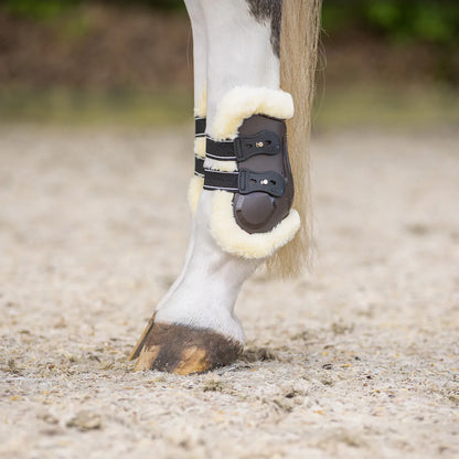 Protectores de menudillo QHP Fetlock boots Ontario para equitación - vista 2