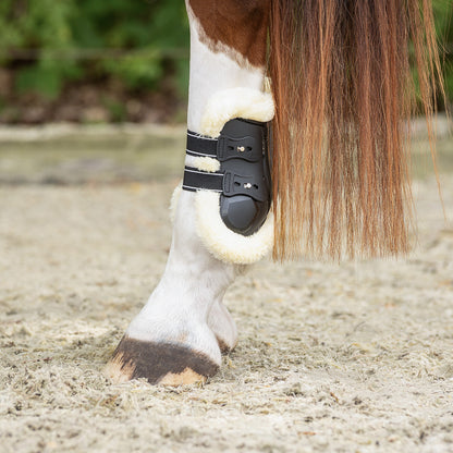 Protectores de menudillo QHP Fetlock boots Ontario para equitación - vista 11