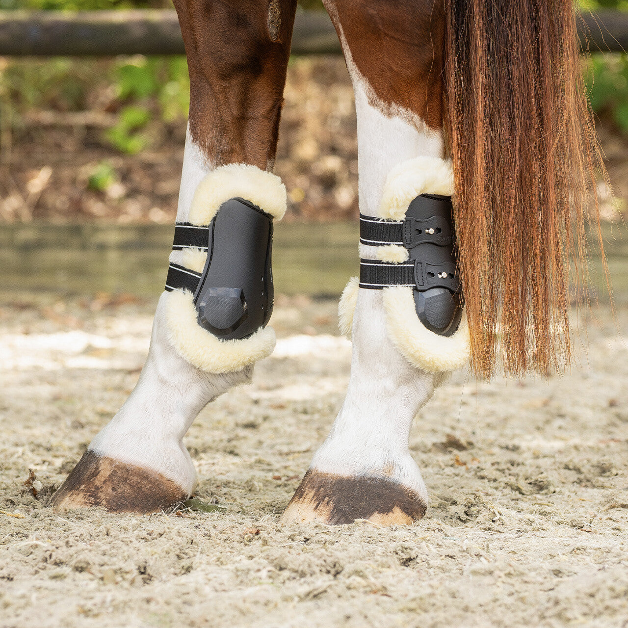 Protectores de menudillo QHP Fetlock boots Ontario para equitación - vista 13