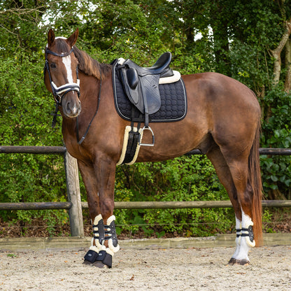 Protectores de menudillo QHP Fetlock boots Ontario para equitación - vista 15