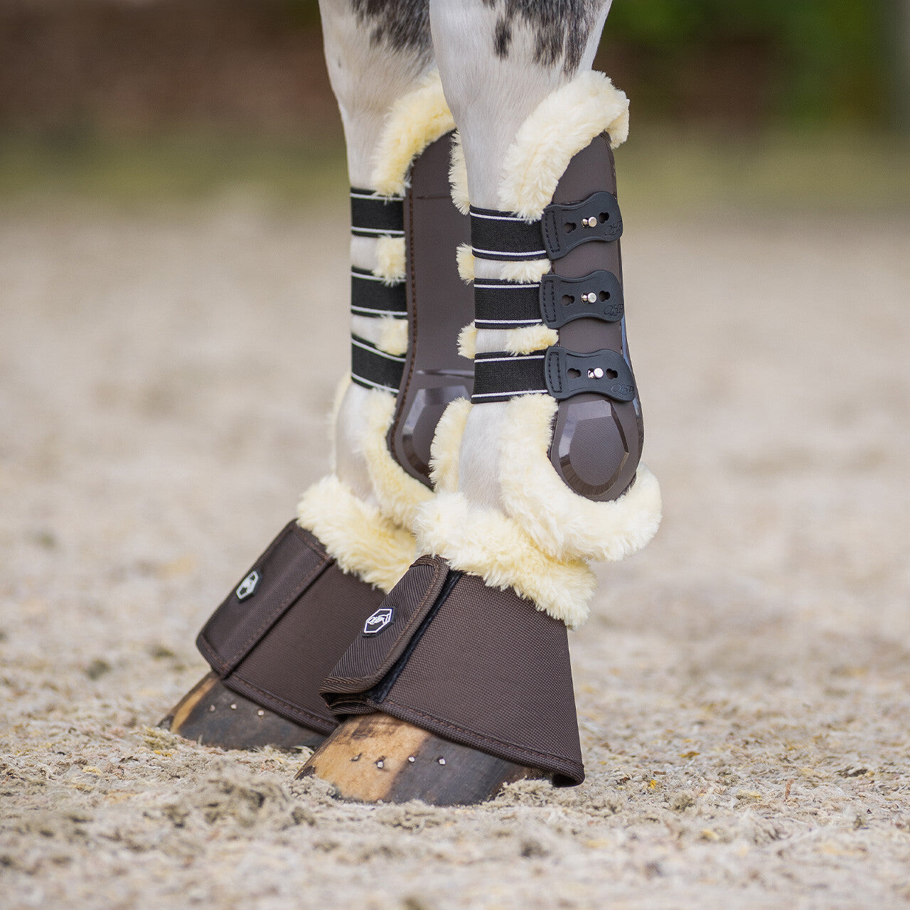 Campanas QHP Bell boots Ontario para equitación - vista 22