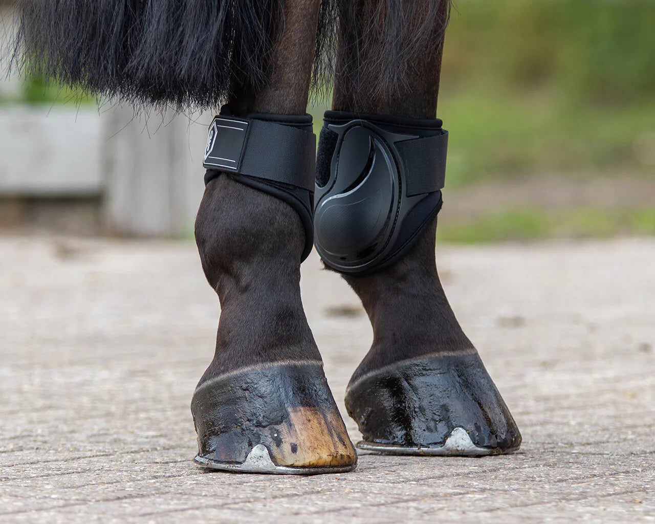 Protectores de menudillo QHP Fetlock boots Champ para equitación - vista 18