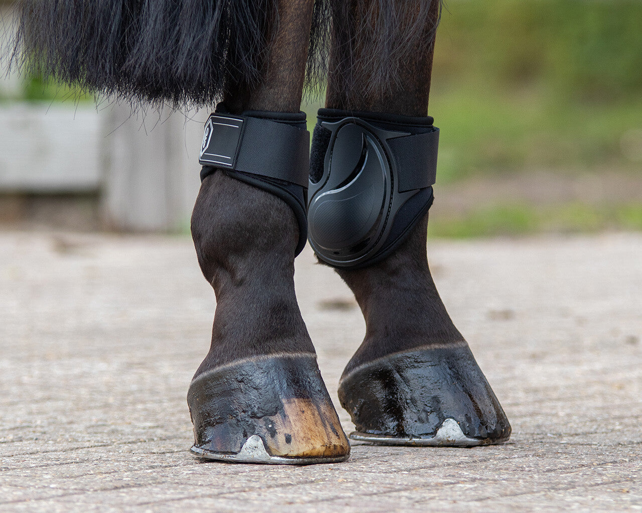 Protectores de menudillo QHP Fetlock boots Champ para equitación - vista 37