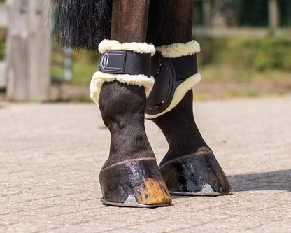 Protectores de menudillo QHP Fetlock boots Tario para equitación - vista 19