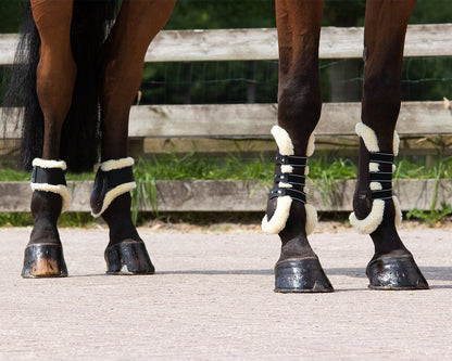 Protectores de menudillo QHP Fetlock boots Tario para equitación - vista 20