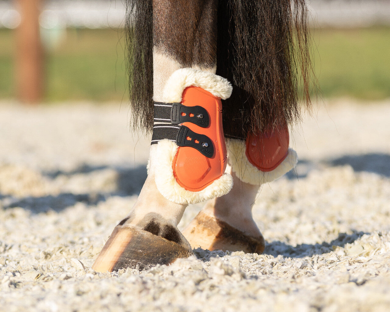 Protectores de menudillo QHP Fetlock boots Menton para equitación - vista 3