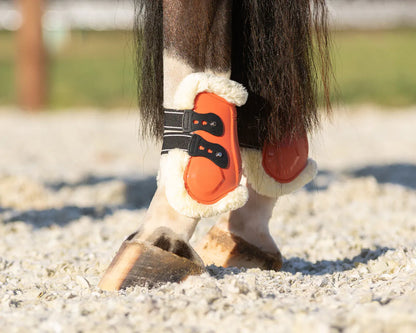Protectores de menudillo QHP Fetlock boots Menton para equitación - vista 4