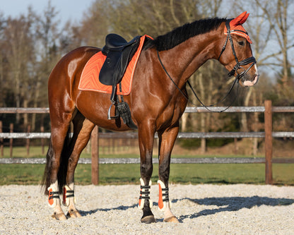 Protectores de menudillo QHP Fetlock boots Menton para equitación - vista 5