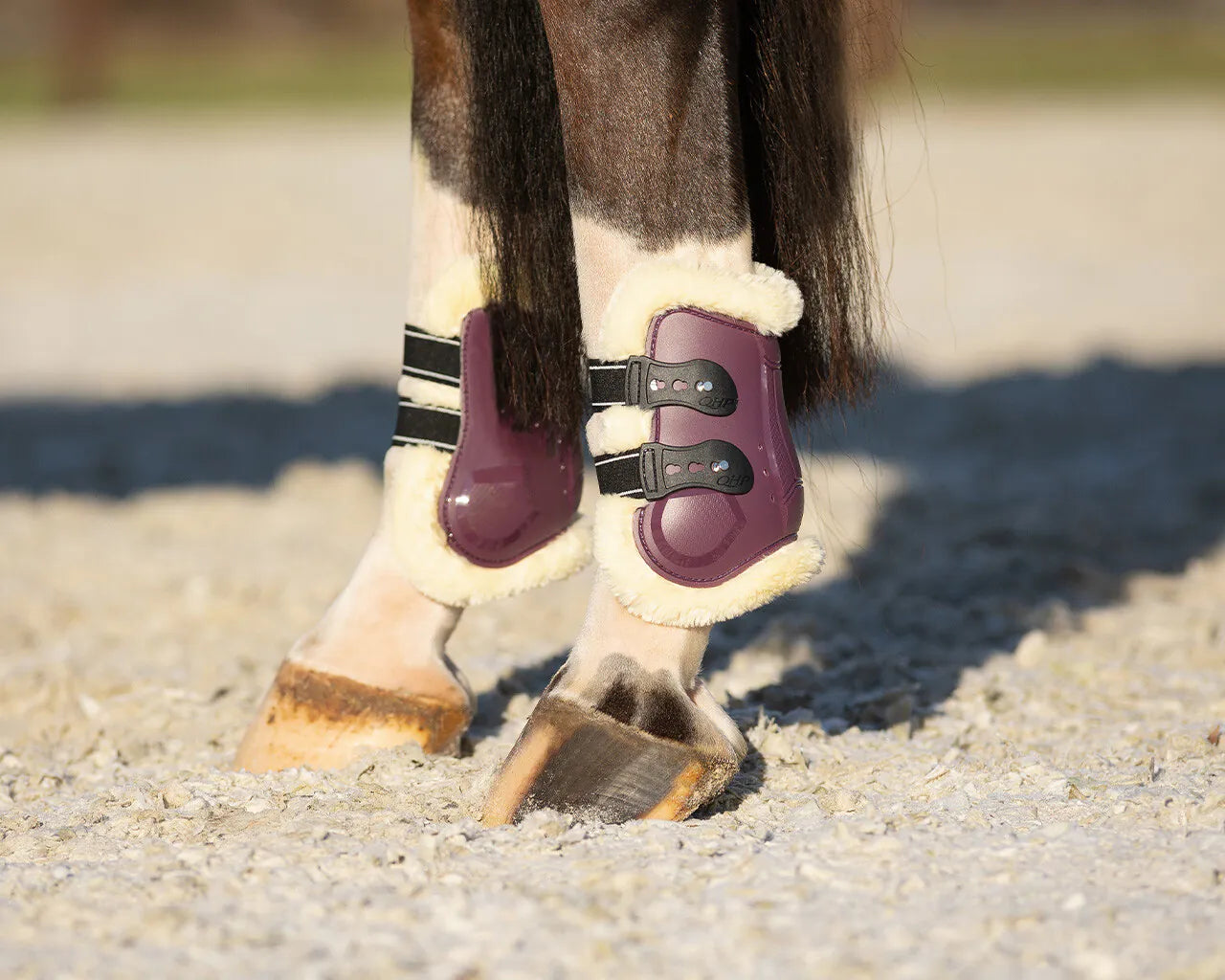 Protectores de menudillo QHP Fetlock boots Menton para equitación - vista 14