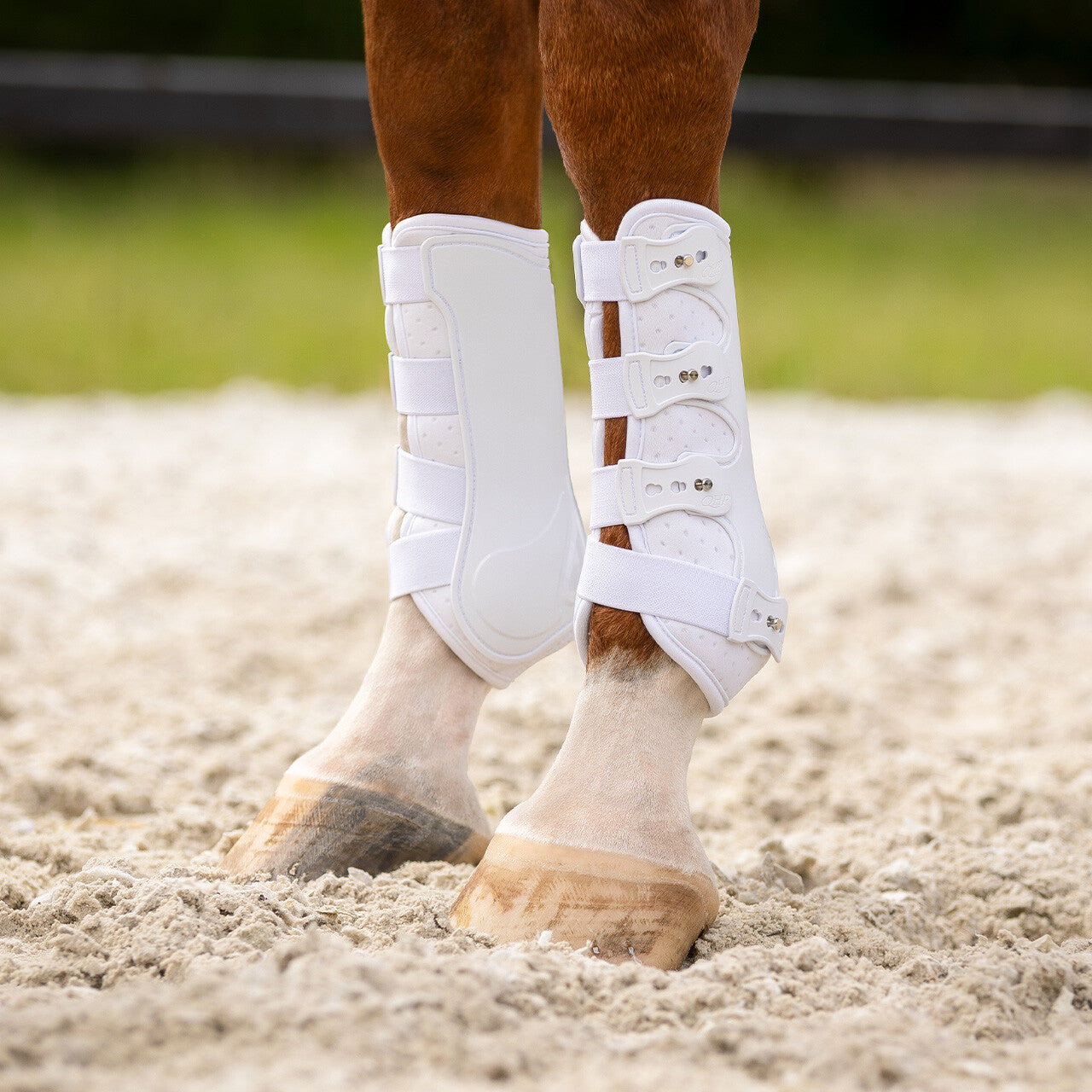 Protectores Leg protection delantero Champion QHP para equitación - vista 7