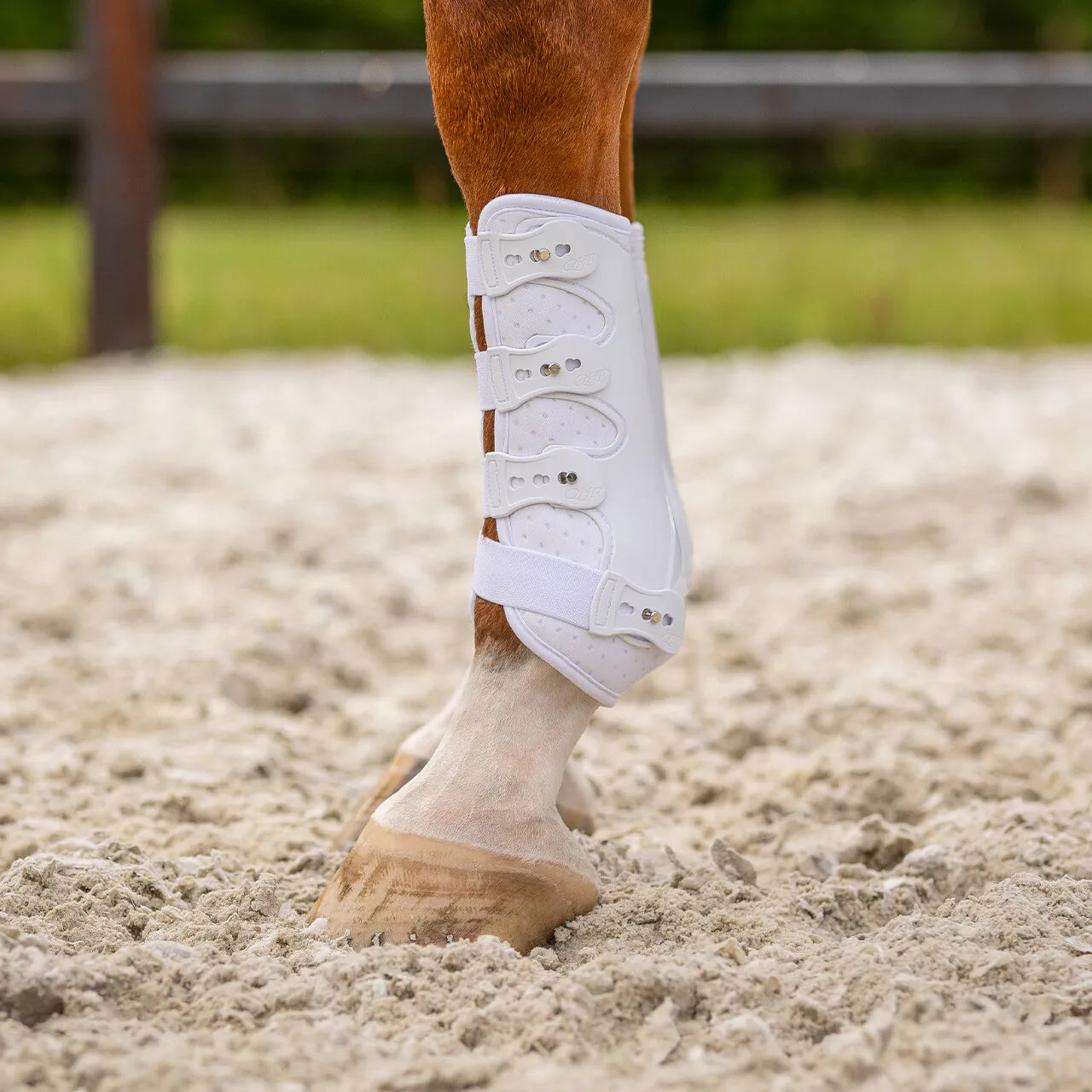 Protectores Leg protection delantero Champion QHP para equitación - vista 10