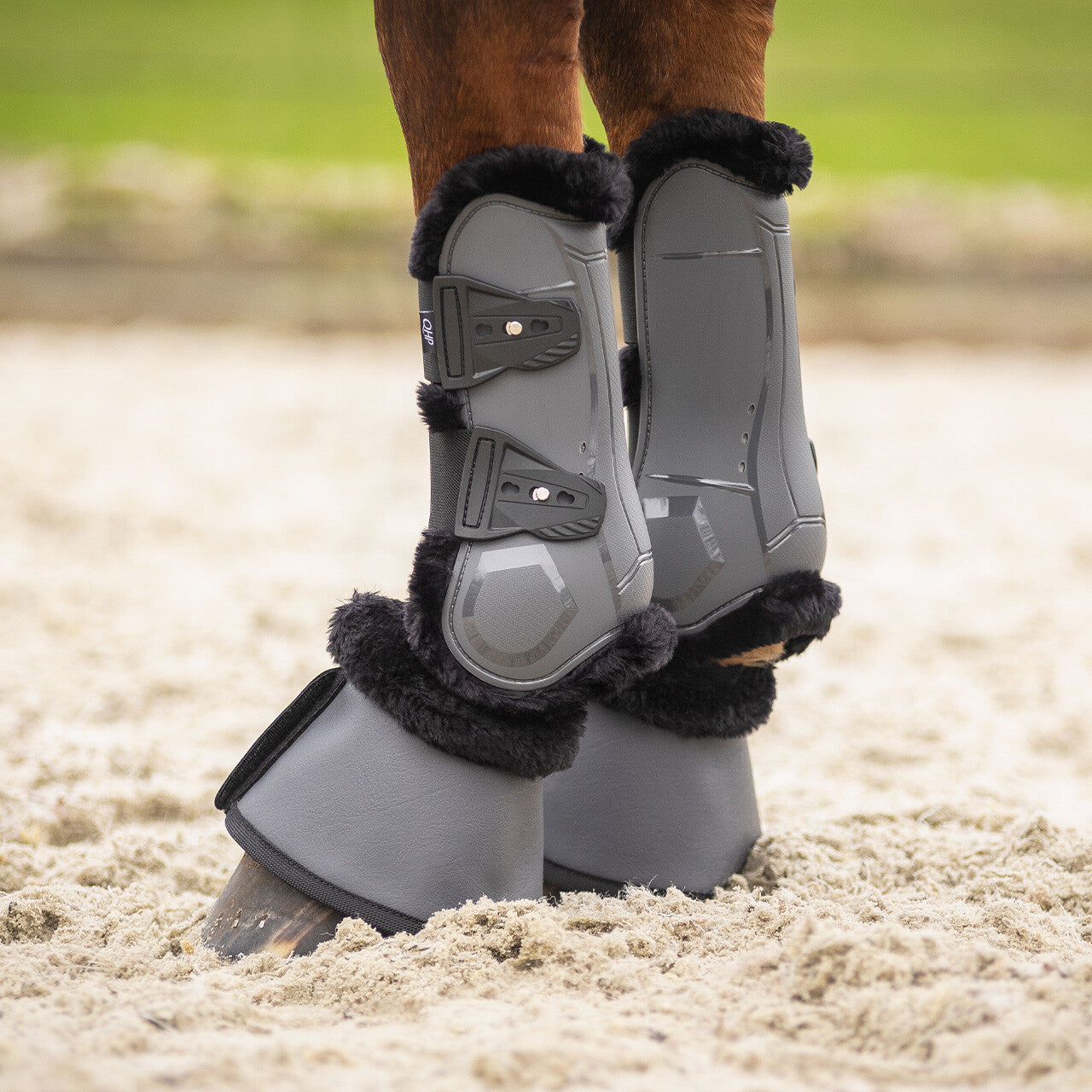 Protectores de tendón QHP Tendon boots Sensisoft para equitación - vista 9