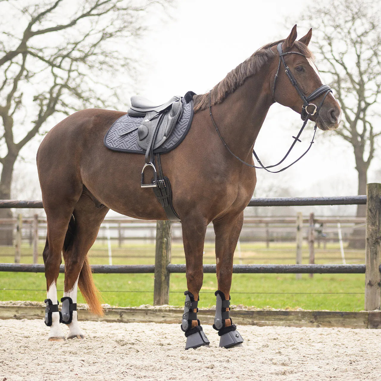 Protectores de menudillo QHP Fetlock boots Sensisoft para equitación - vista 6