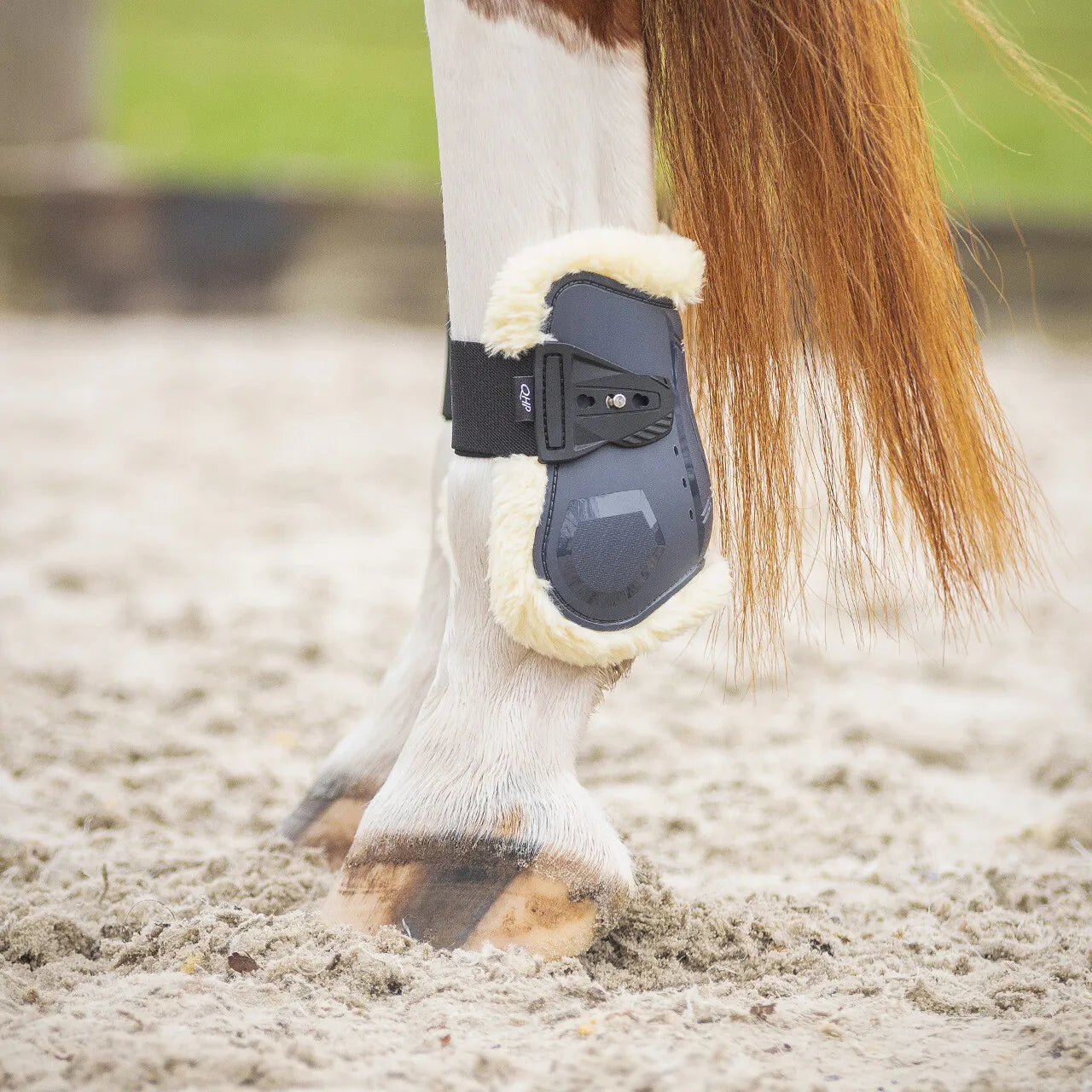 Protectores de menudillo QHP Fetlock boots Sensisoft para equitación - vista 14