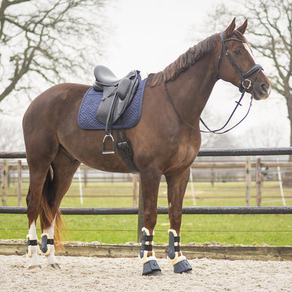 Protectores de menudillo QHP Fetlock boots Sensisoft para equitación - vista 15