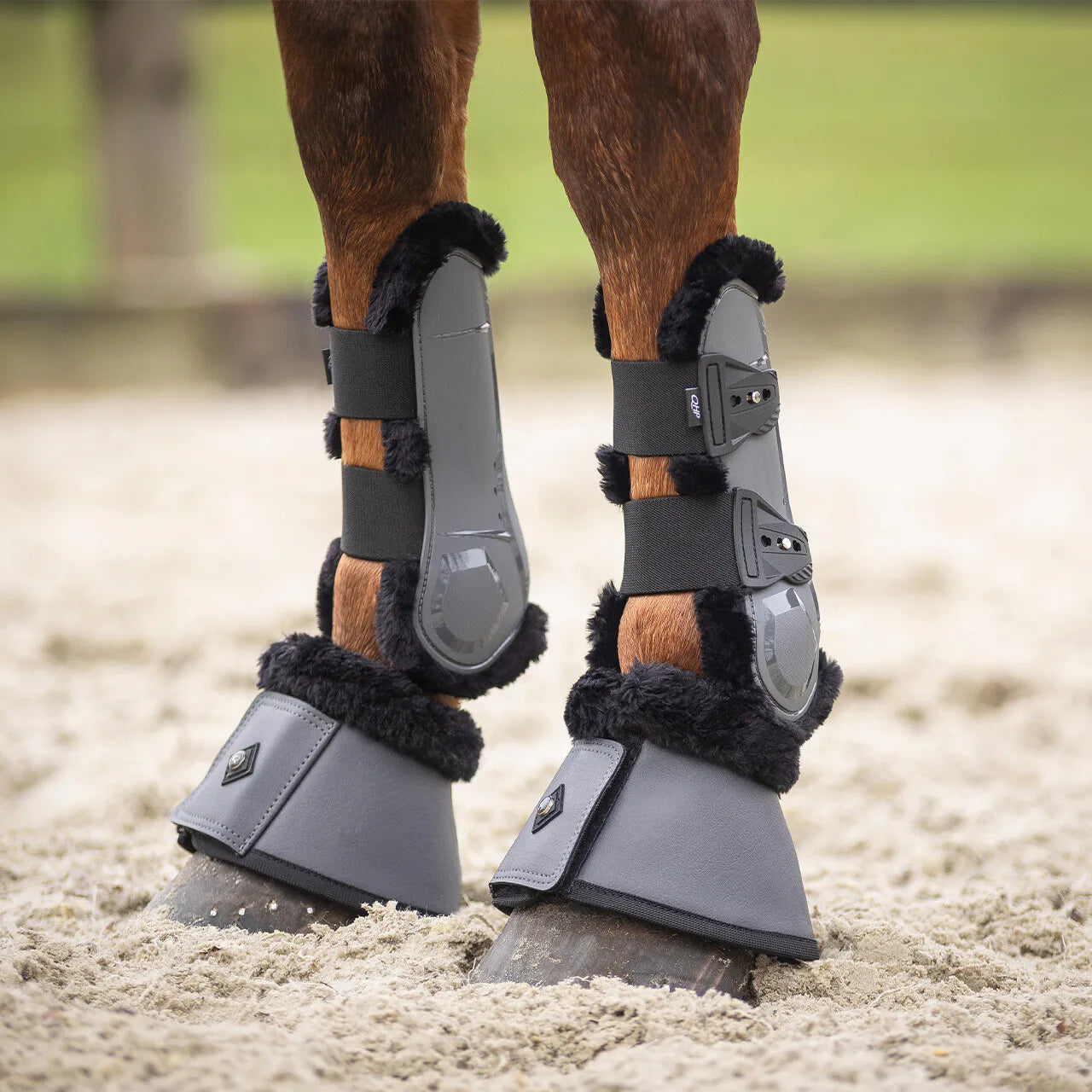 Campanas QHP Bell Boots Sensisoft para equitación - vista 2