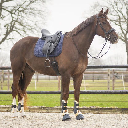 Campanas QHP Bell Boots Sensisoft para equitación - vista 12