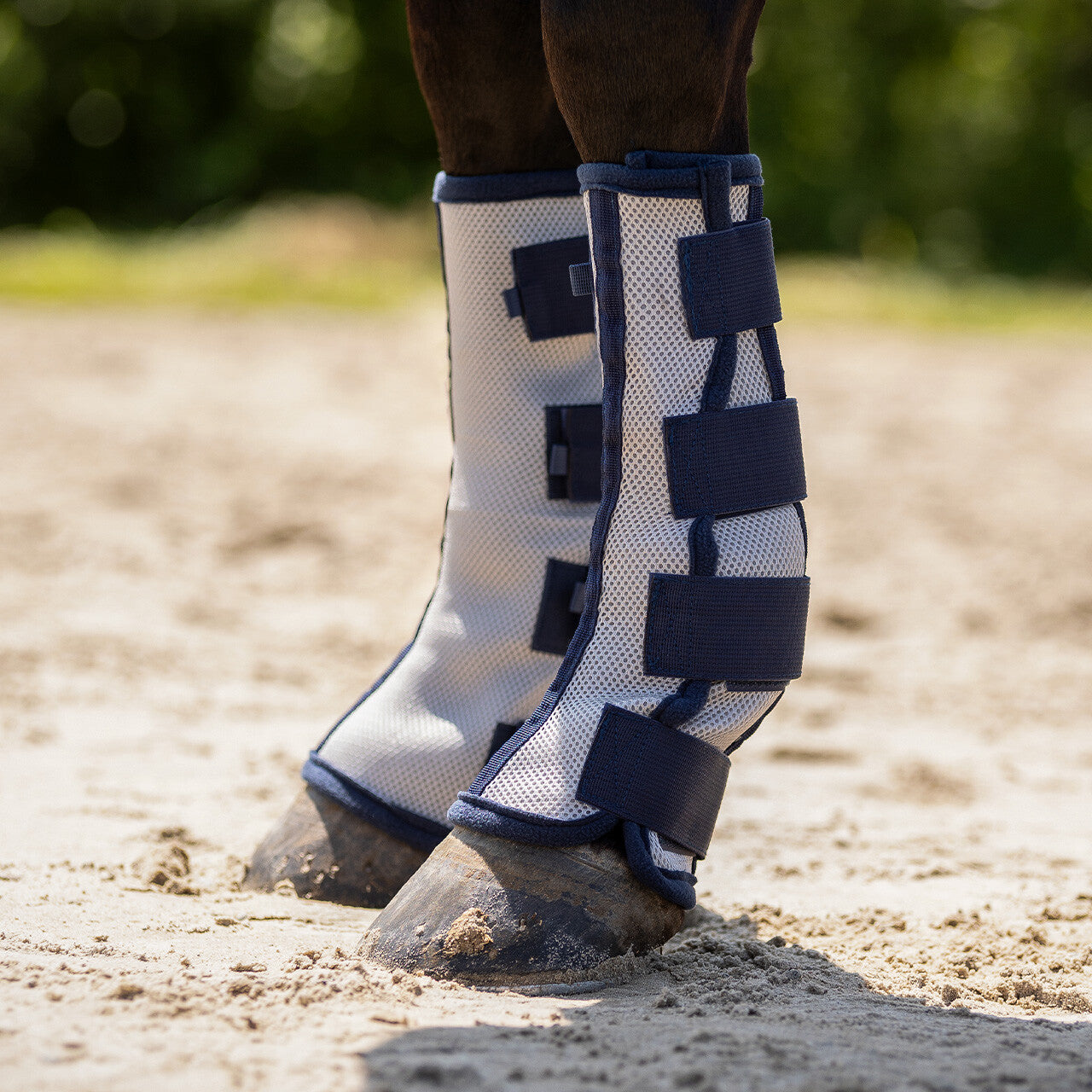 Protectores QHP Fly boots (2-pack) para equitación - vista 18