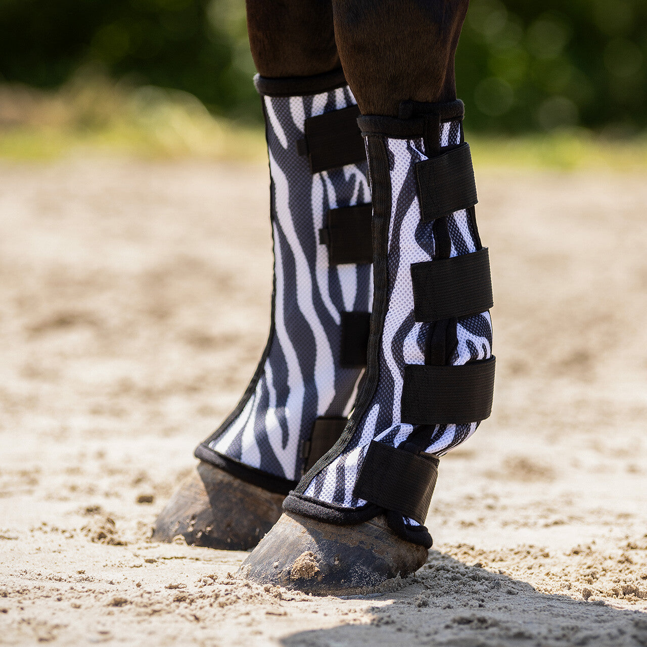 Protectores QHP Fly boots (2-pack) para equitación - vista 24