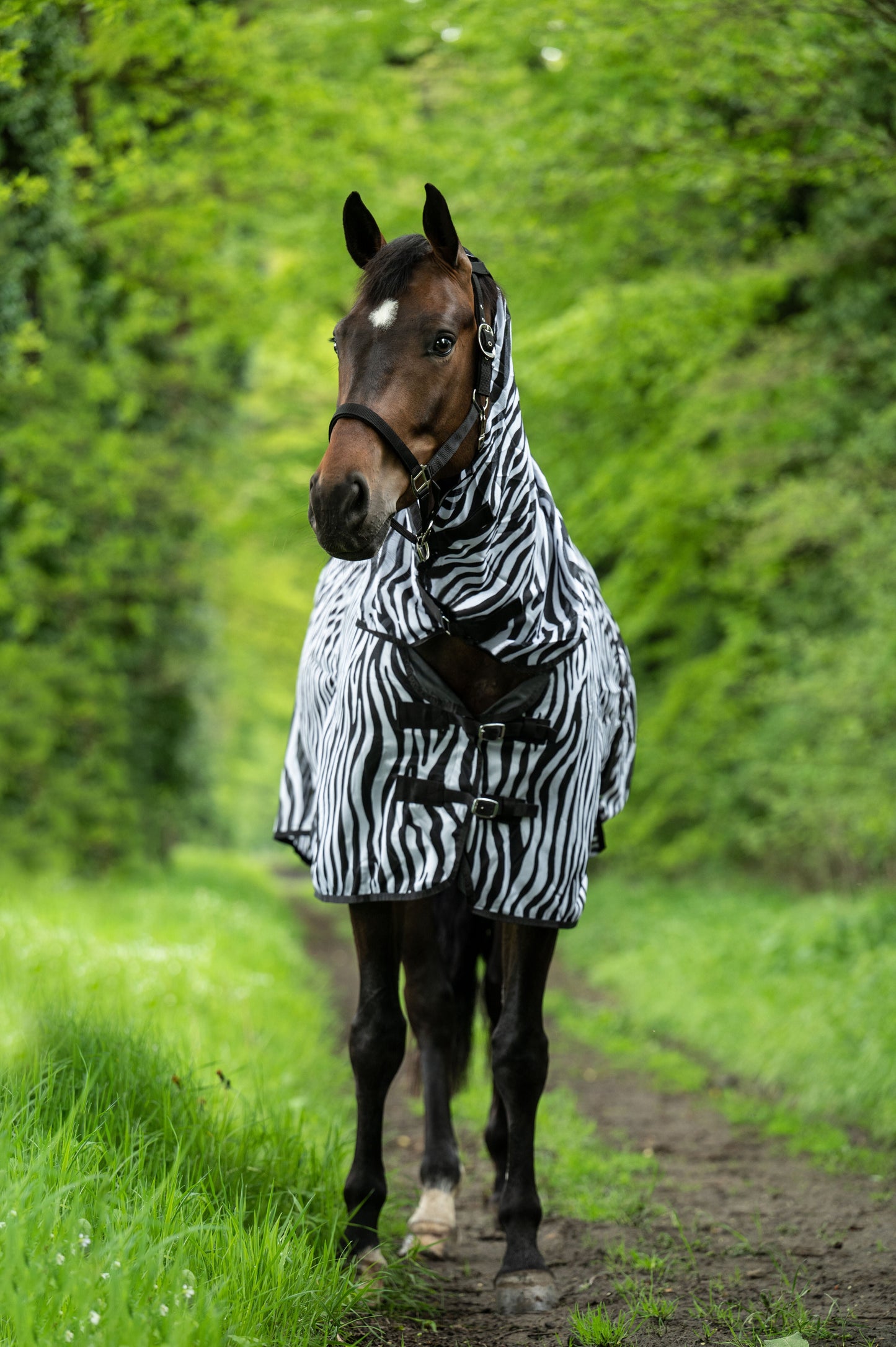 Manta para caballo HKM Fly Rug Zebra with Neck detalle 3
