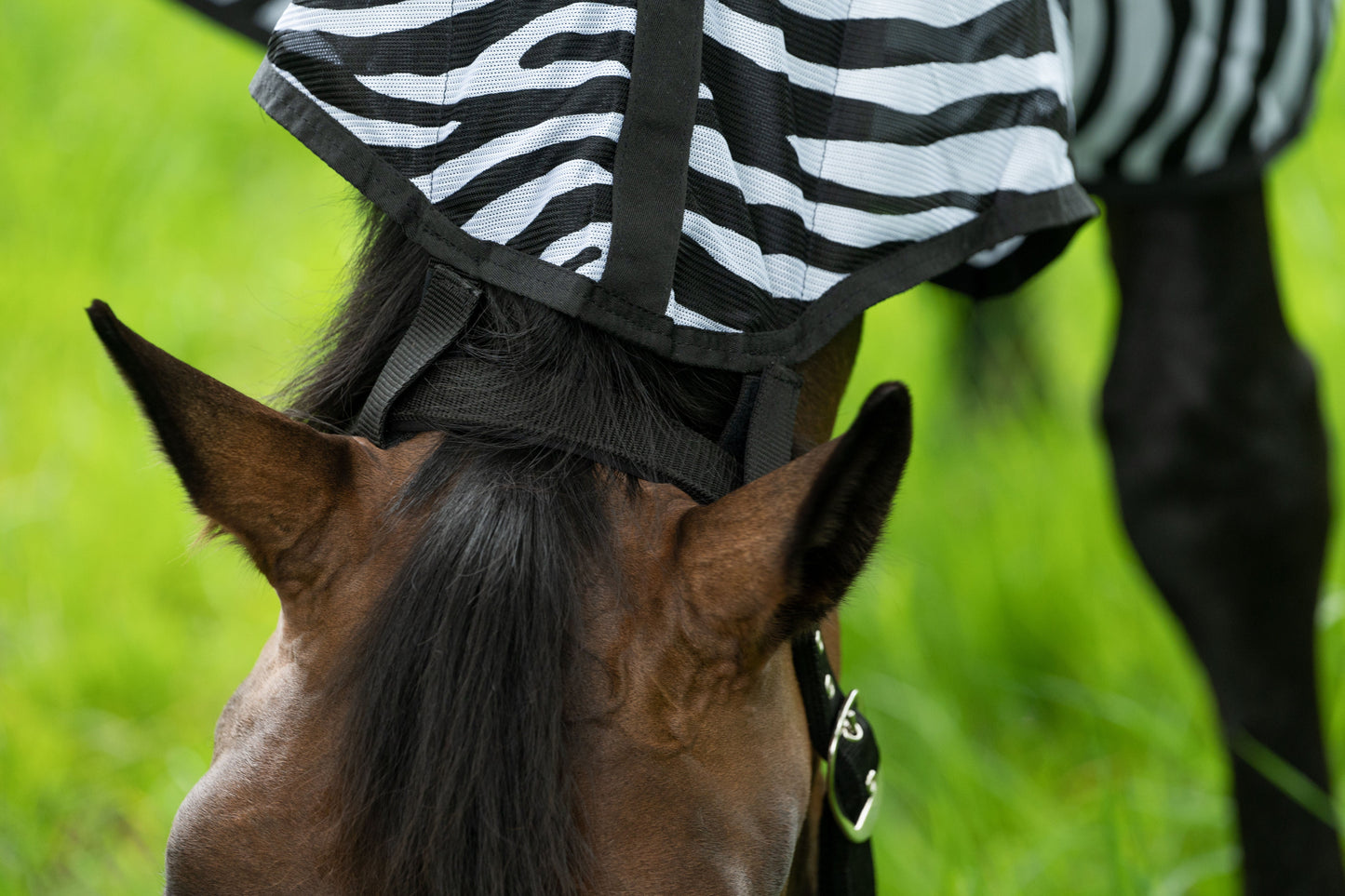 Manta para caballo HKM Fly Rug Zebra with Neck detalle 7