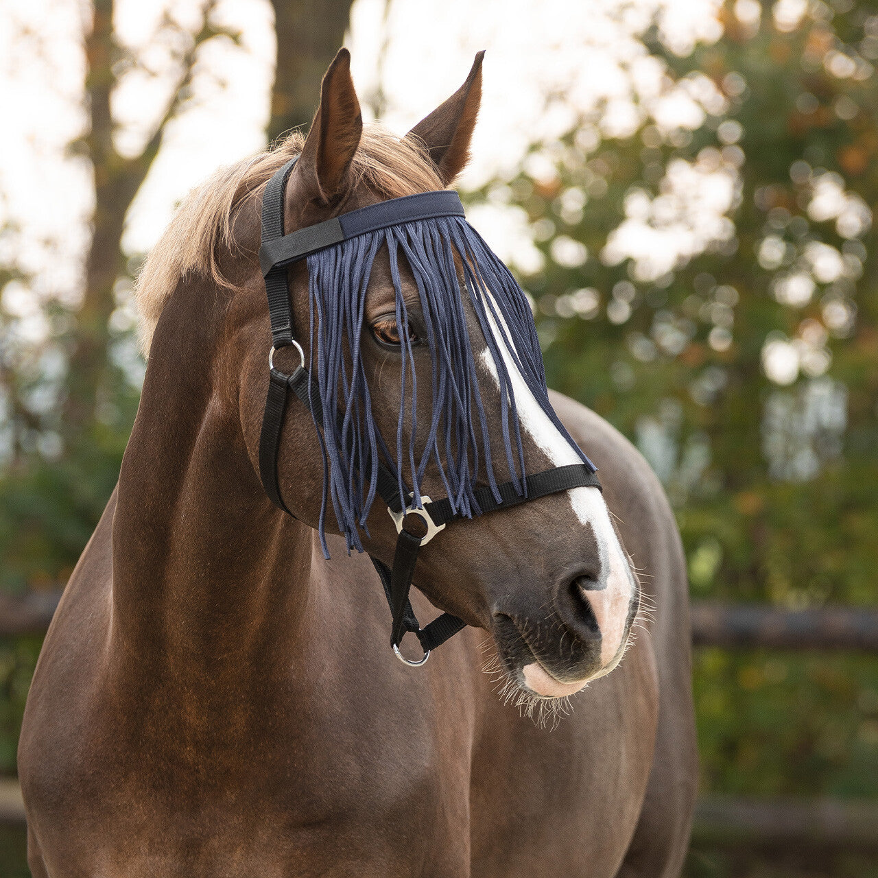 Flecos antimoscas Fly fringe QHP para equitación - vista 29