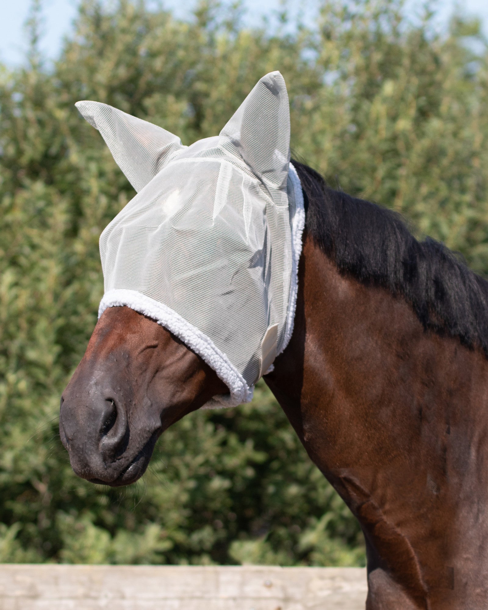 Máscara antimoscas con ear protection QHP para equitación - vista 3