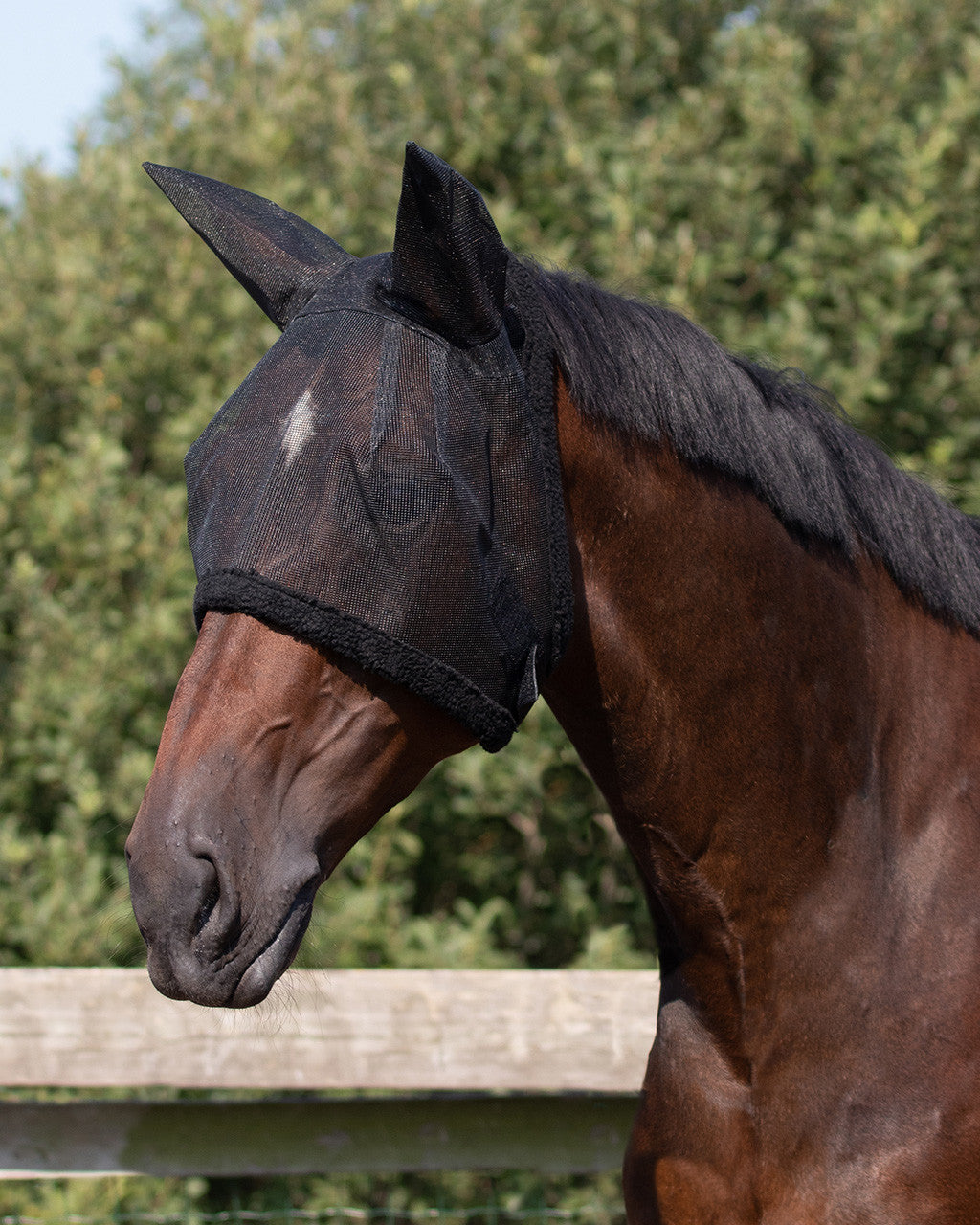 Máscara antimoscas con ear protection QHP para equitación - vista 20